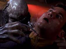 Tubulures d`assimilations Borg