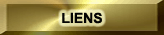 Bt Liens