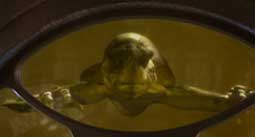 Xindi Aquatique