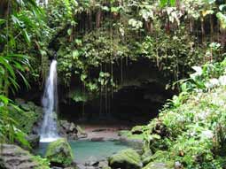 Forêt tropicale de Bétazed