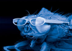 La Nanotechnologie 01
